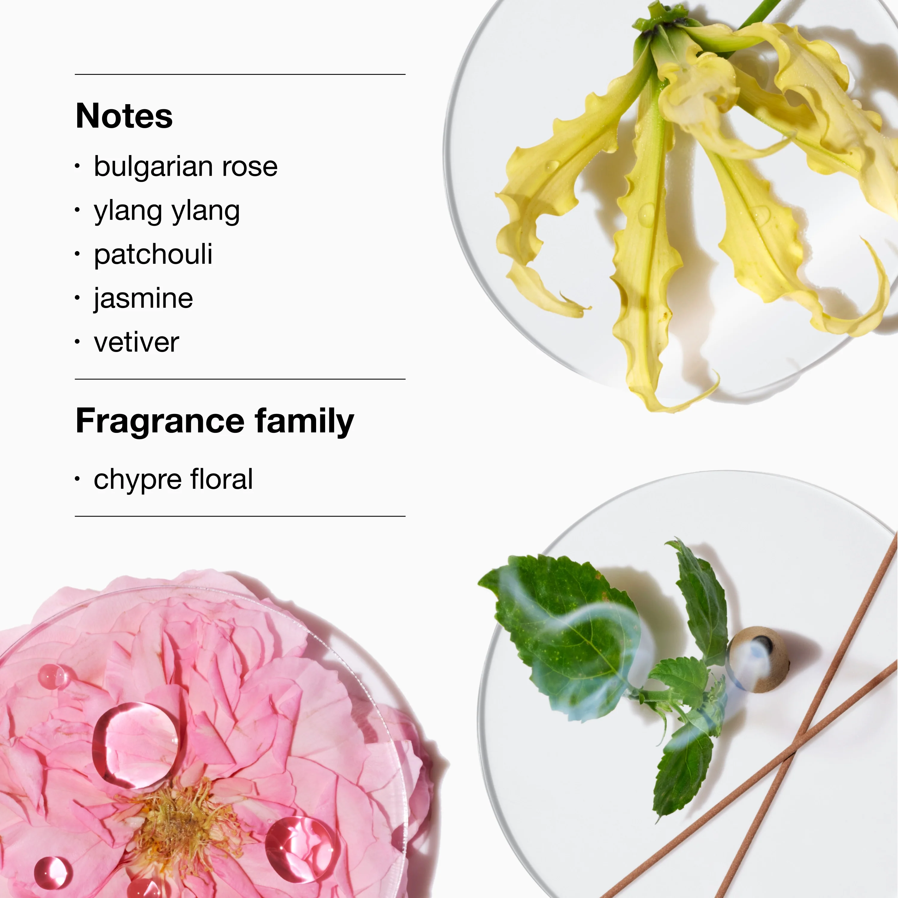 Aromatics Elixir™ Eau de Parfum Spray - 1.500 fl oz